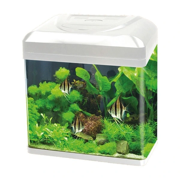 Acquario Billy 16