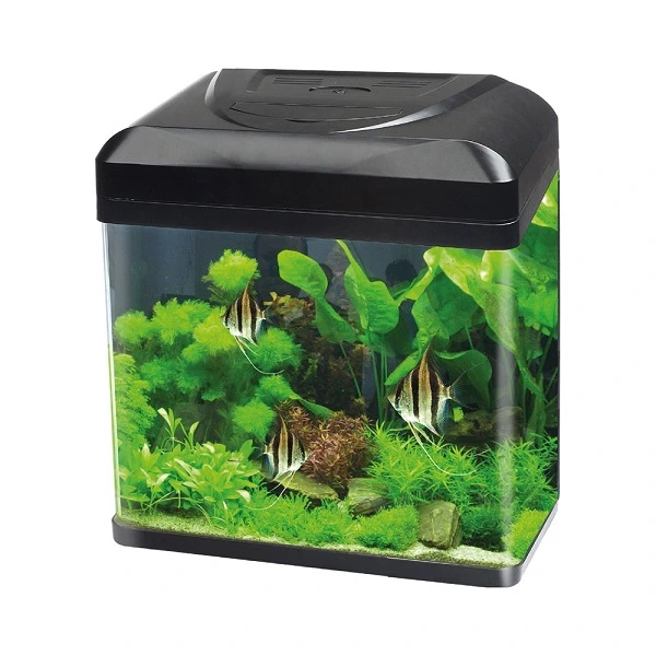 Acquario Billy 30