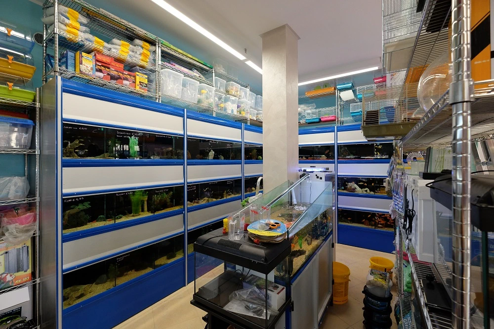 Vendita acquari Piossasco Torino